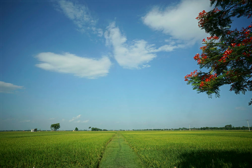 Huyện Mỹ Đức nằm phía Tây Nam thủ đô, cách trung tâm Hà Nội khoảng 40km. Nơi đây có nhiều cánh đồng rộng lớn và còn giữ lại được khá nhiều nét tự nhiên của thôn quê Bắc Bộ