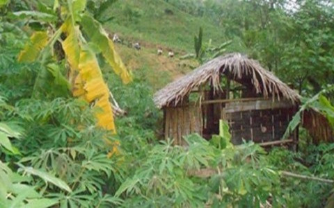 Ảnh chỉ mang tính minh họa