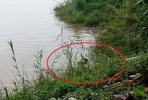 Vị trí nơi phát hiện thi thể nạn nhân