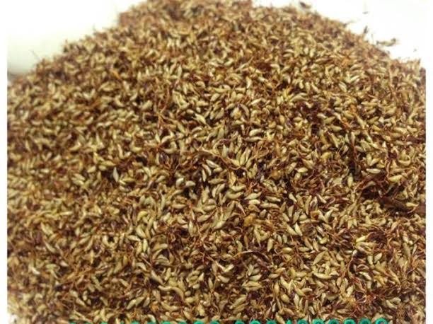 Hạt rừng lạ được mọi người mua về làm thạch ăn giải nhiệt