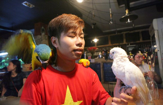 Chú vẹt Nam Mỹ giá hơn 2.000 USD với bộ lông sặc sỡ...
