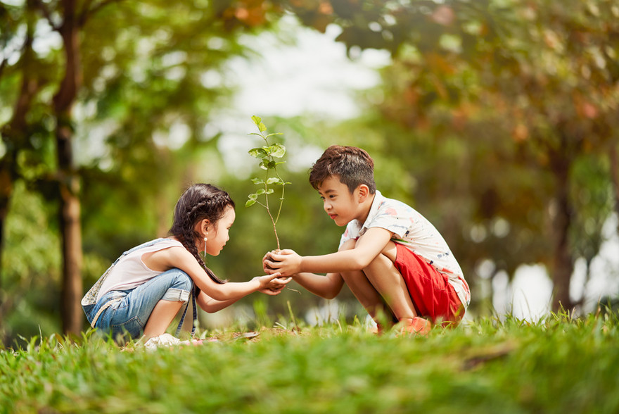 Không gian trong lành xanh mát trong khu đô thị Gamuda Gardens, Hoàng Mai.