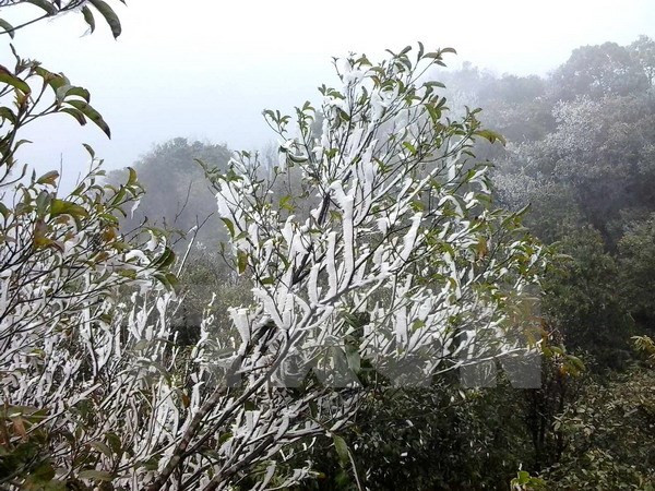 Băng tuyết trên đỉnh Mẫu Sơn. Ảnh: TTXVN.