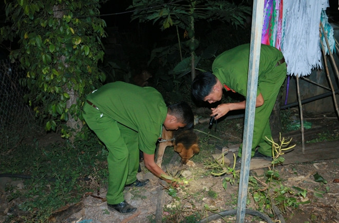 Cơ quan điều tra điều động chó nghiệp vụ tìm vật dụng của nạn nhân tại nhà nghi can