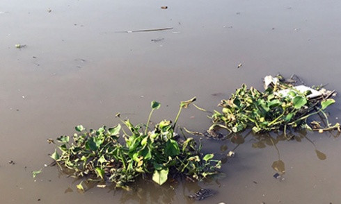 Nam thanh niên dìm chết người yêu trong cơn ghen