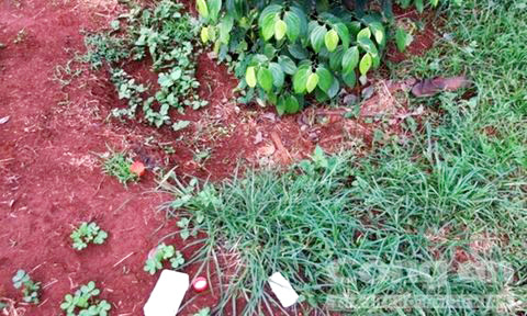 Hiện trường phát hiện thi thể bà Phụng - Ảnh: cơ quan chức năng cung cấp