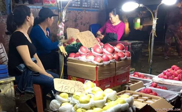 Lê VIP 180.000 đồng/thùng 20kg, táo tẩy 160.000/thùng 17kg.