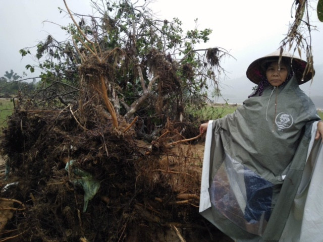 Cơn lũ kinh hoàng xảy ra trong đêm ngày 14/10 quét qua toàn huyện Hương Khê làm cho hàng vạn hộ dân vùng này điêu đứng. Tại những xã đầu nguồn sông Ngàn Sâu, nơi được mệnh danh là thủ phủ của sản phẩm đặc sản bưởi Phúc Trạch ngon nổi tiếng bỗng tan hoang 