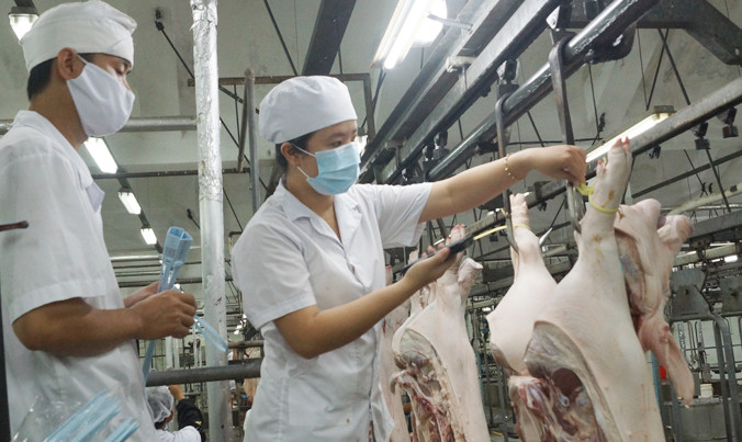 Thông tin thương lái “được” đeo vòng cho heo khiến người tiêu dùng lo lắng.