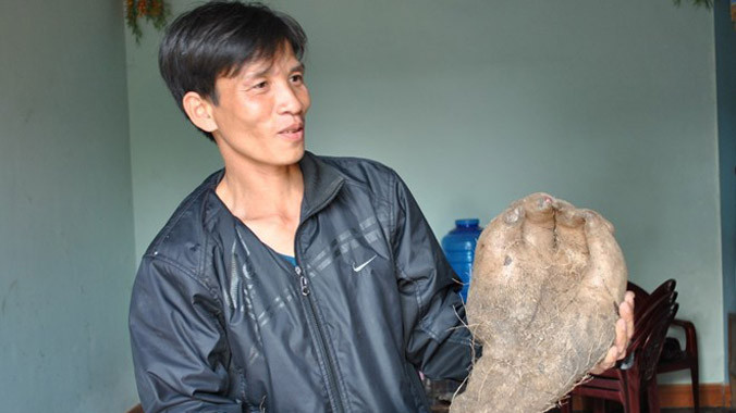 Anh Quyền đang cầm củ khoai có hình bàn tay.