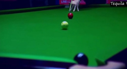 Những pha đánh ''thần sầu'' của cơ thủ billiard snooker