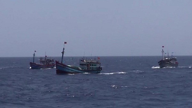 Tàu cá Việt Nam kiên cường bám biển tại ngư trường truyền thống của mình. Ảnh: TTXVN