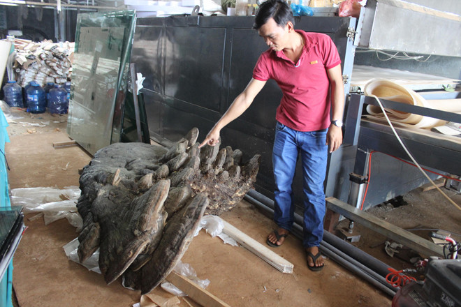 Anh Đại, chủ nhân cây nấm