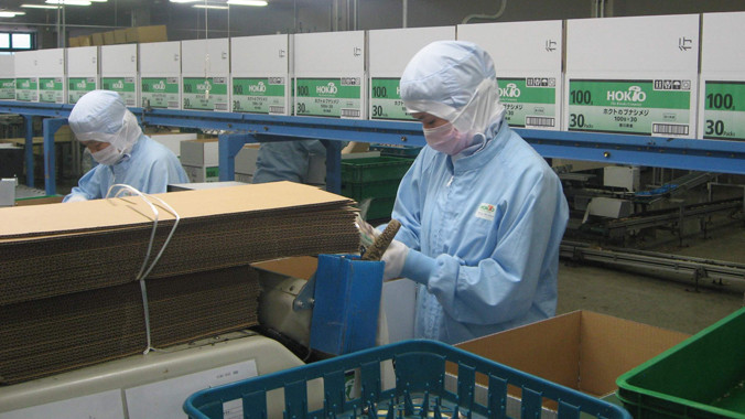  Lao động Việt Nam làm việc tại Hàn Quốc mỗi năm gửi về nước hơn 700 triệu USD. Ảnh: Nguyễn Bá Anh