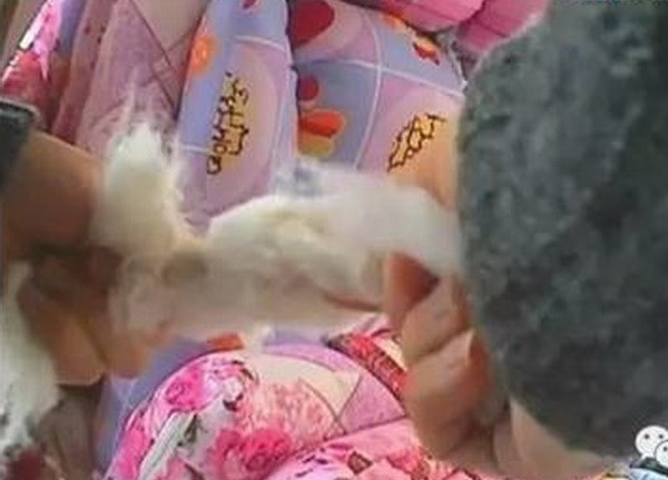 (Nguồn: Chinadaily) 