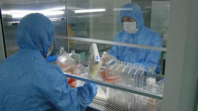 Dùng chính những tế bào trong cơ thể của bệnh nhân để điều trị ung thư