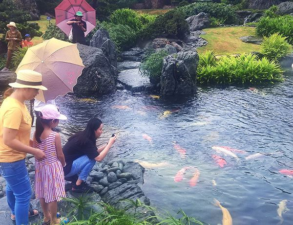 Công viên cá koi triệu đô nhộn nhịp dịp lễ 30/4 và 1/5