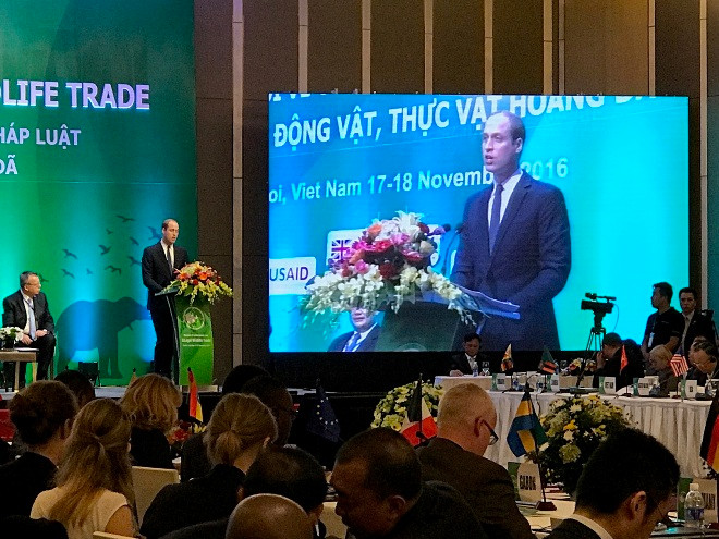 Hoàng tử Vương Quốc Anh William đề nghị các quốc gia có biện pháp mạnh mẽ nhằm ngăn chặn các hoạt động trái pháp luật bảo vệ các loài hoang dã.