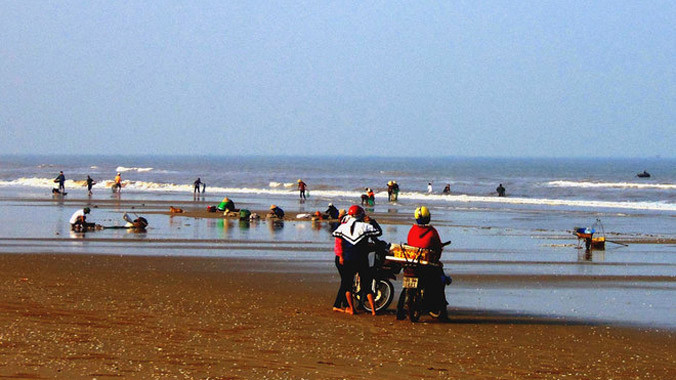 Từ sáng sớm 20/1, hàng chục ngư dân tập trung dọc bãi biển Thạch Hải dùng vợt đi vớt sò lông. Theo kinh nghiệm của ngư dân, sau mỗi đợt biển động hay gió mùa, sò lông thường quấn dưới cát và bị sóng đẩy dạt vào bờ.