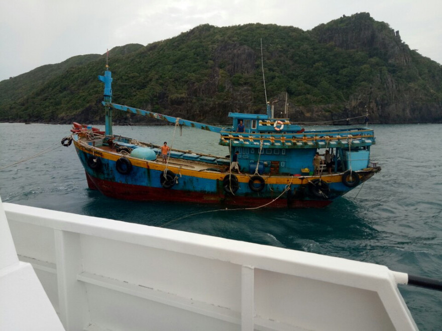 Ảnh: Trung tâm cung cấp.