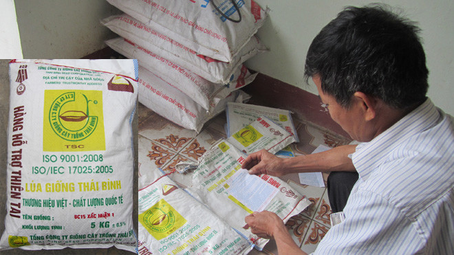 Bao giống BC15 quá hạn sử dụng, bà con nông dân phải đem cho gà ăn. Ảnh: Q.Long