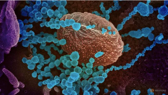 Nguồn gốc virus SAR-CoV-2 đến nay vẫn chưa được làm sáng tỏ. (Ảnh: Reuters)