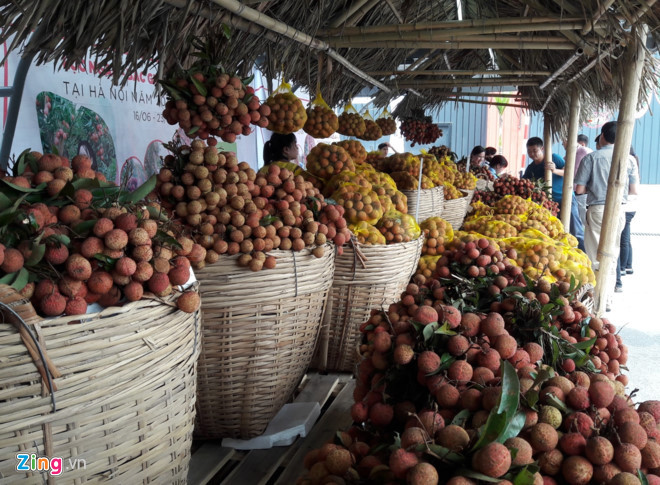 Tuần lễ vải thu hút nhiều doanh nghiệp và người dân tham gia mua bán