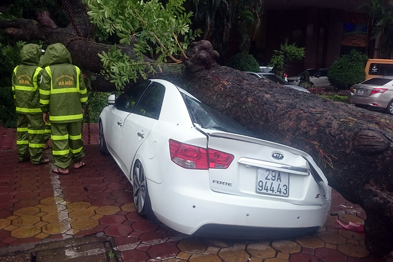 Cận cảnh xế hộp bị xà cừ đè bẹp trên phố Hà Nội