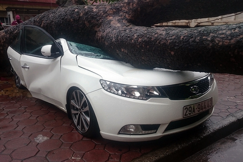 Hiện trường vụ việc