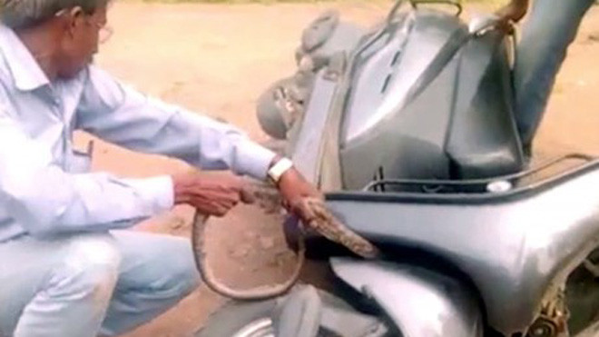 Ảnh cắt từ clip.