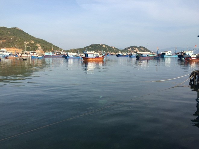 Đảo Bình Ba thanh bình, xinh đẹp. Ảnh:Kelly Huỳnh/Zing.