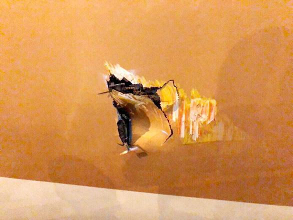 Vết thủng trên thân máy bay. Ảnh: CTV.