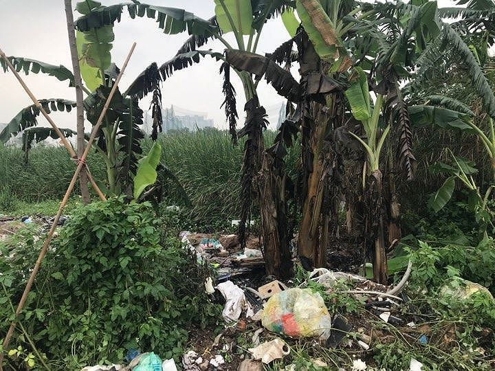 Hiện trường vụ án mạng