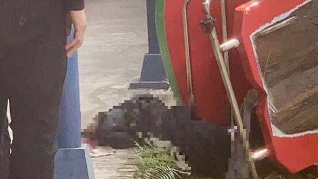 Gia đình cháu A. buồn bã khi nhắc đến vụ việc.