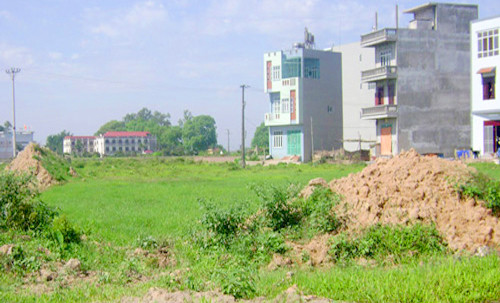 Thủ tướng đồng ý cho UBND tỉnh Thái Nguyên chuyển đổi 15,7 ha đất trồng lúa để làm dự án. Ảnh minh họa.