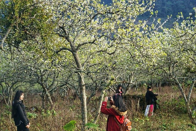 Chung tay xây dựng sản phẩm du lịch kích cầu Tây Bắc