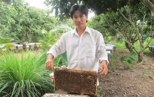 Anh Điền bên những kèo ong đang cho mật.