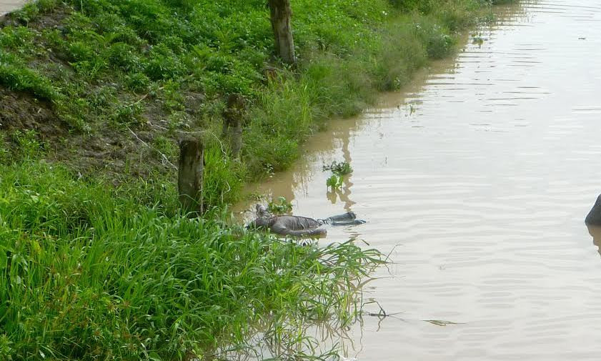 Nơi phát hiện thi thể.