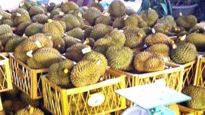 Sầu riêng đã bị nhúng hóa chất.