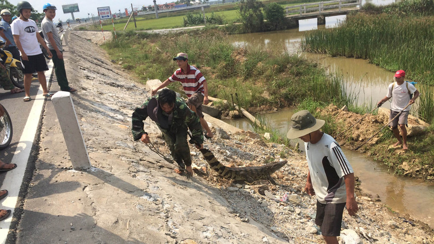 Người dân vây bắt con cá sấu. Ảnh CTV.