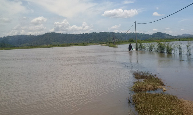 Nước ngập trắng đồng.