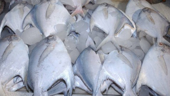 Ảnh minh họa. Nguồn: Internet