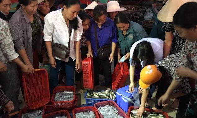 Cán bộ Sở Y tế Hà Tĩnh tiến hành lấy mẫu tại các gò cá trên địa bàn. 