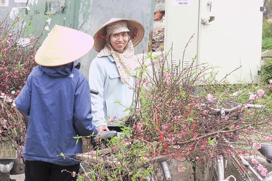 Đào Nhật Tân giá rẻ hút khách chơi rằm tháng Chạp