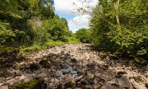 Khúc sông cạn nước sau khi hố sụt xuất hiện. Ảnh minh họa: Mysterious Universe.