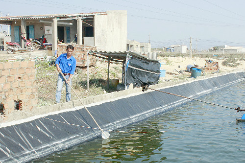 Anh Phan Thanh Thánh bên hồ nuôi tôm thẻ chân trắng trên cát bằng nước sạch. 