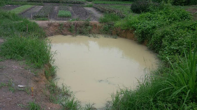 Hố nước nơi ba cháu nhỏ tử vong.
