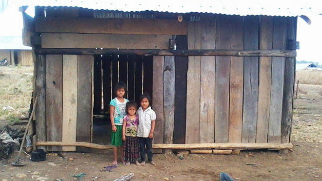 3 em nhỏ tự trông nhau