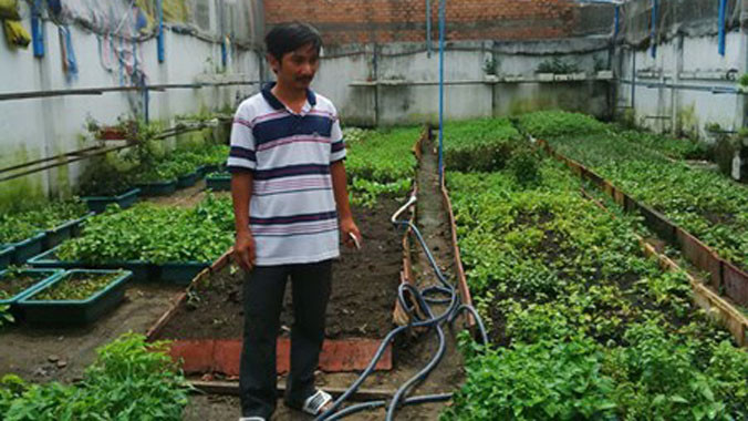 Anh Bùi Ngọc Minh Tâm và vườn rau sạch của gia đình. H.K.