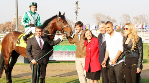 Arturo Vidal hiện đang sở hữu tới 12 con ngựa đua thuần chủng.